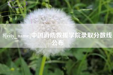 东台中国消防救援学院录取分数线公布