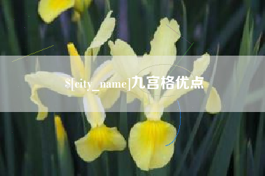 东台九宫格优点