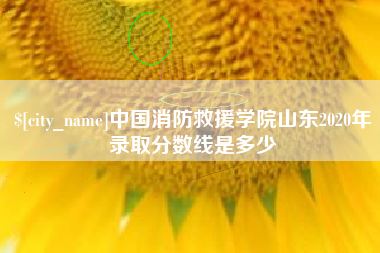东台中国消防救援学院山东2020年录取分数线是多少