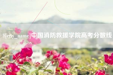 东台中国消防救援学院高考分数线