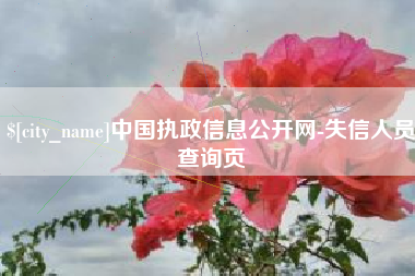 东台中国执政信息公开网-失信人员查询页