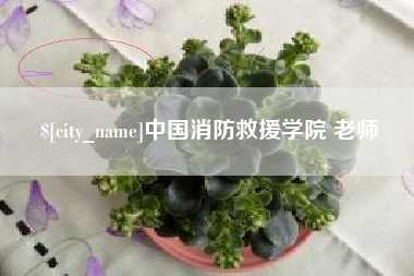 东台中国消防救援学院 老师