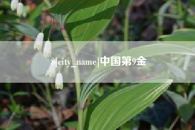东台中国第9金