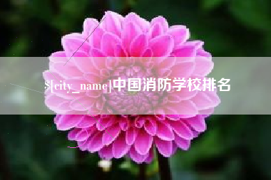 东台中国消防学校排名