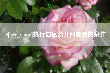 东台执行信息公开网查到的案件