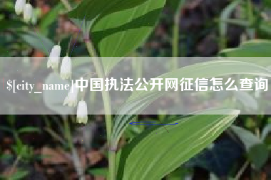 东台中国执法公开网征信怎么查询