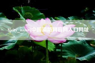 东台中国消防网官网入口网址
