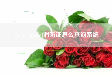 东台消防证怎么查询系统