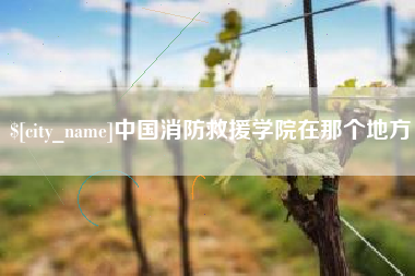 东台中国消防救援学院在那个地方