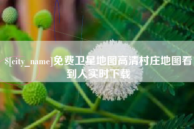 东台免费卫星地图高清村庄地图看到人实时下载
