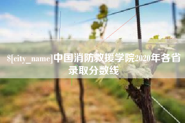 东台中国消防救援学院2020年各省录取分数线
