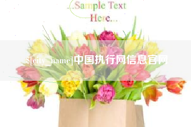 东台中国执行网信息官网