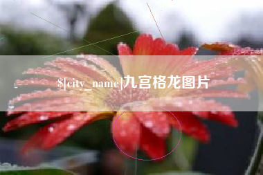 东台九宫格龙图片