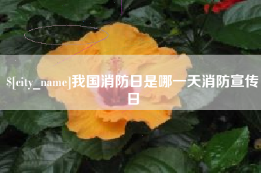 东台我国消防日是哪一天消防宣传日
