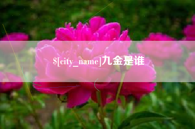东台九金是谁