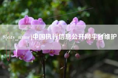 东台中国执行信息公开网平台维护