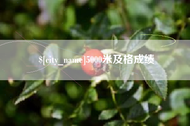 东台5000米及格成绩
