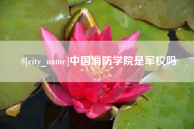 东台中国消防学院是军校吗