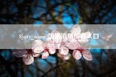 东台国家消防报名入口