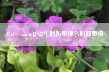 东台2025年消防员报名时间表格