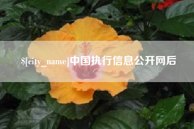东台中国执行信息公开网后
