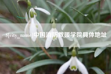 东台中国消防救援学院具体地址