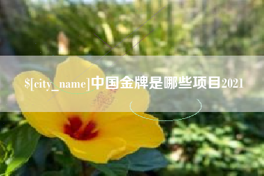 东台中国金牌是哪些项目2021