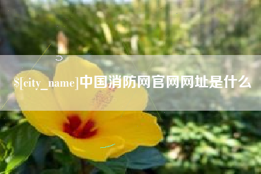 东台中国消防网官网网址是什么