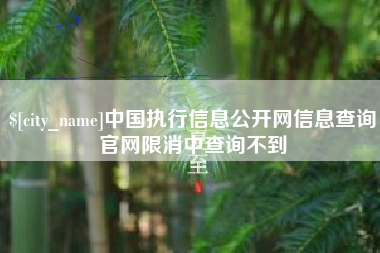 东台中国执行信息公开网信息查询官网限消中查询不到