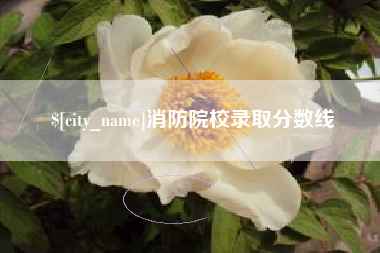 东台消防院校录取分数线