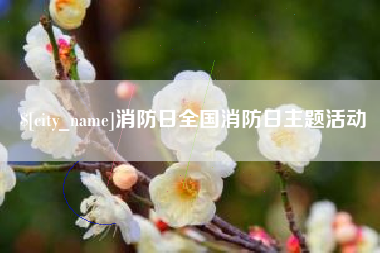 东台消防日全国消防日主题活动