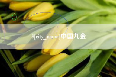 东台中国九金