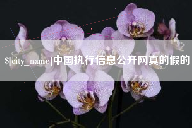 东台中国执行信息公开网真的假的