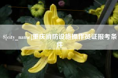 东台重庆消防设施操作员证报考条件