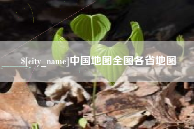 东台中国地图全图各省地图