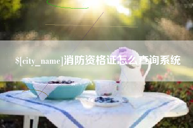 东台消防资格证怎么查询系统