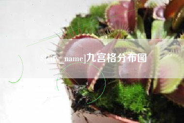 东台九宫格分布图