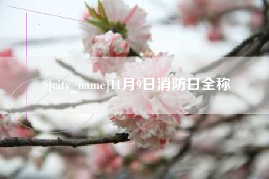 东台11月9日消防日全称