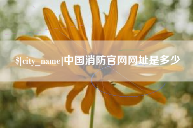 东台中国消防官网网址是多少