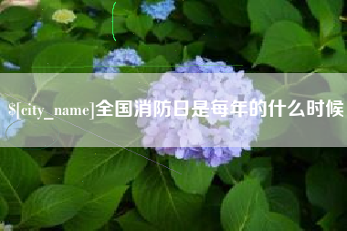 东台全国消防日是每年的什么时候