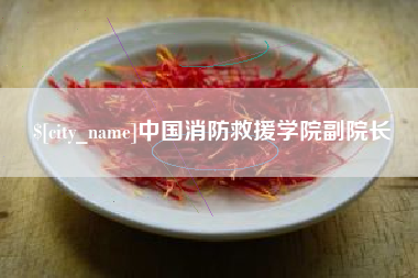 东台中国消防救援学院副院长