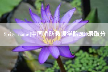 东台中国消防救援学院2020录取分