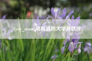 东台河南消防大学分数线