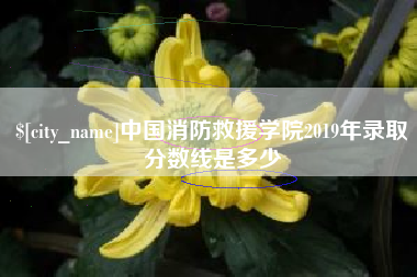 东台中国消防救援学院2019年录取分数线是多少