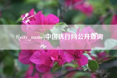 东台中国执行网公开查询