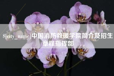 东台中国消防救援学院简介及招生章程指挥部