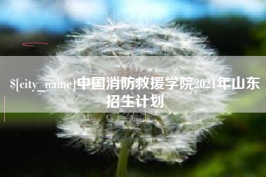 东台中国消防救援学院2021年山东招生计划