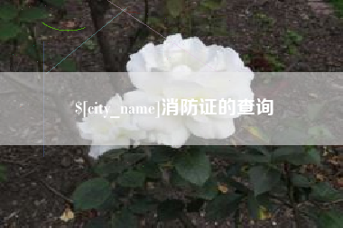 东台消防证的查询