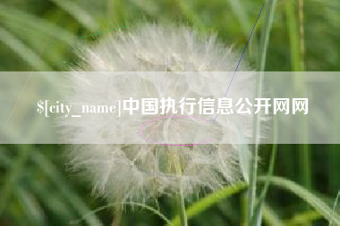 东台中国执行信息公开网网