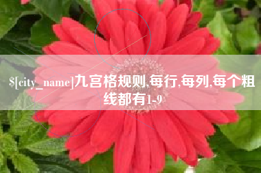 东台九宫格规则,每行,每列,每个粗线都有1-9